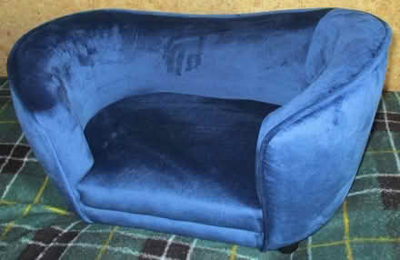 Photo of free Lottie Velvet Pet Bed (Odd Down) #2