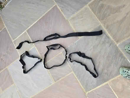 Photo of free Straps with velcro (Panshanger AL7) #1