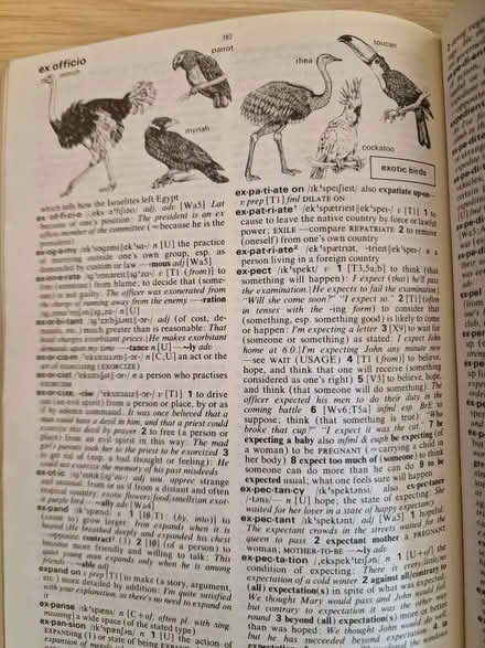 Photo of free Dictionary and Thesaurus (Lower Place OL16) #3