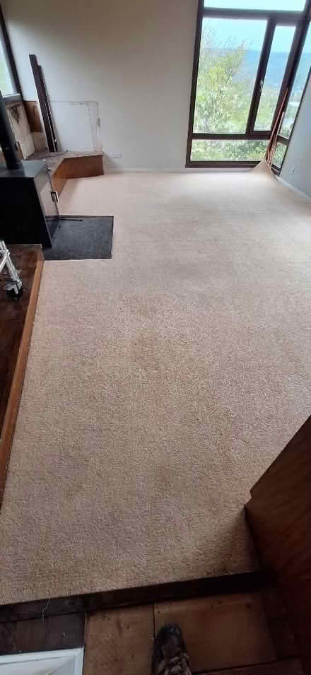 Photo of free Light coloured carpet (Kendal LA9) #3
