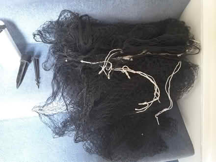Photo of free Garden netting (HP13 near railway station) #1