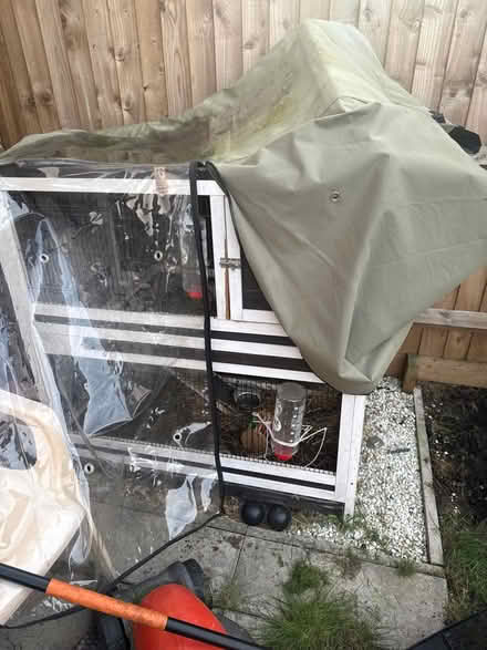 Photo of free Rabbit hutch and cover (N9) #1