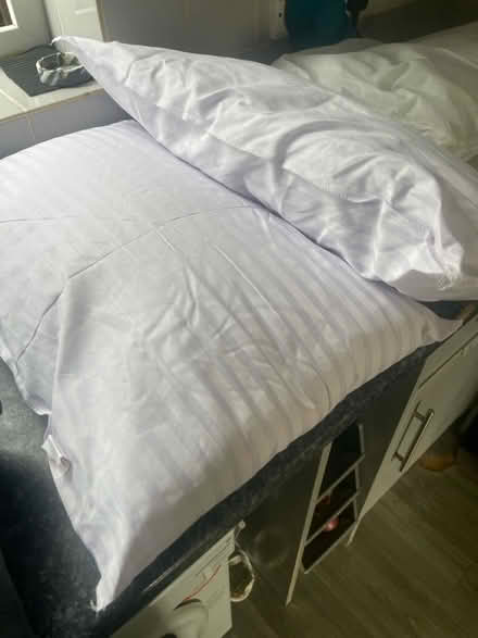 Photo of free Pillows (Reigate Surrey RH2) #1