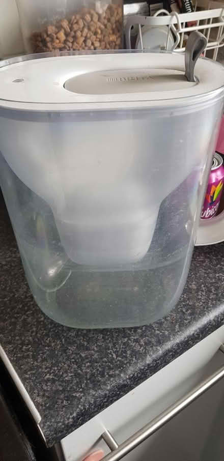 Photo of free Brita Filter Jug (Dukinfield) #1
