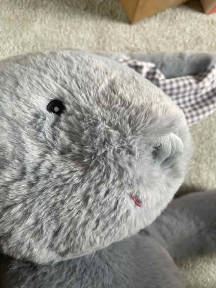 Photo of free Rabbit Cuddly Toy (Large) (Market Harborough) #2