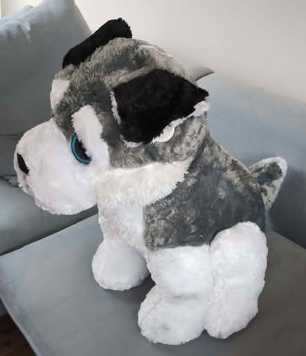 Photo of free Large soft toy (Ruskin Park SE5) #2