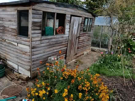Photo of free Garden shed 6x13 (Wallington, SM6) #1