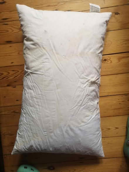 Photo of free Two feather pillows (Streatham SW16) #4