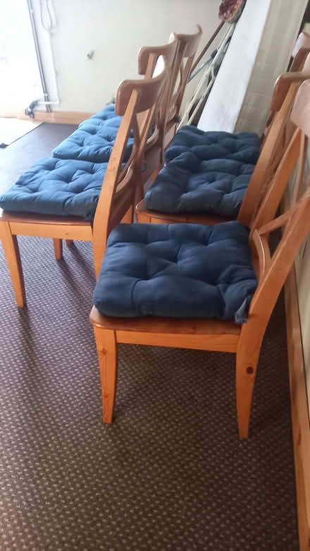 Photo of free 6 dining chairs (Manningham BD9) #2