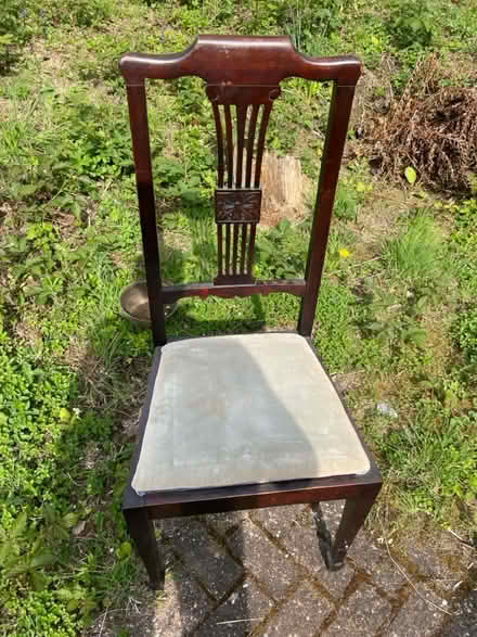 Photo of free Old Dining Chair - Edwardian? (Matfield) #1