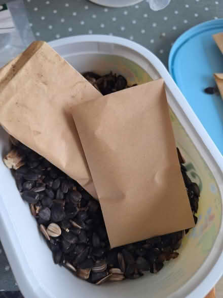 Photo of free Mixed sunflower seeds (Springfield) #2