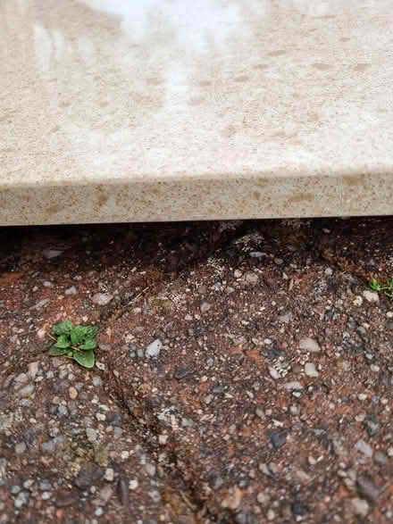Photo of free Solid Stone Worktop (PL20) #3