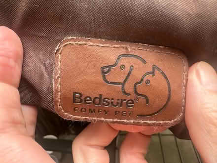 Photo of free XL dog bed from Bedsure (Woolwich SE18) #1