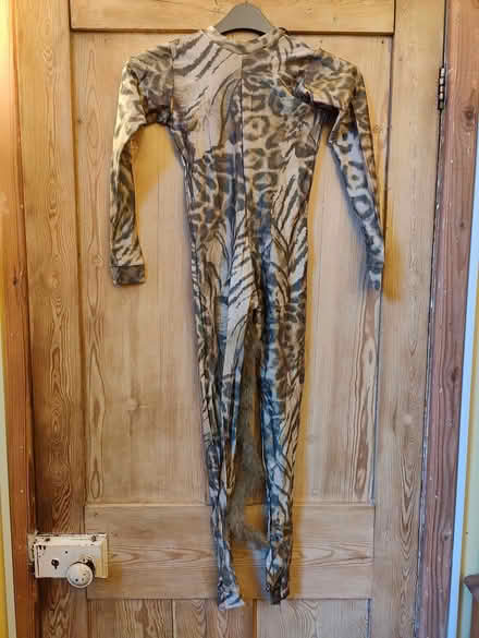 Photo of free Dressing up animal costume (Bedford) #1