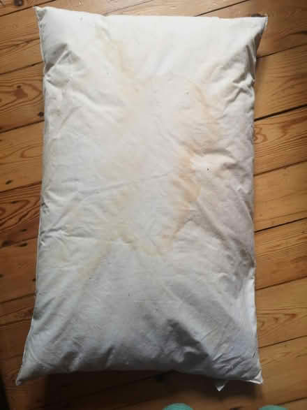 Photo of free Two feather pillows (Streatham SW16) #2