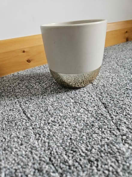 Photo of free Plant pot (Handsworth) #1
