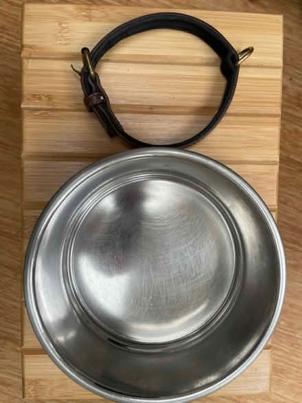 Photo of free Small dog collar and bowl (OX4 3) #2