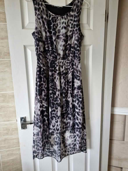 Photo of free Animal print dress (Shrewsbury) #1