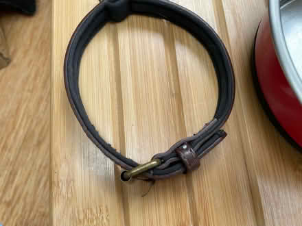 Photo of free Small dog collar and bowl (OX4 3) #3