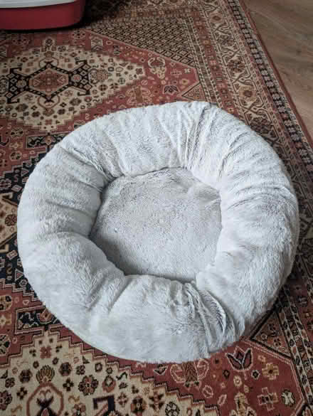 Photo of free Cat bed (Nether Edge, S7) #1