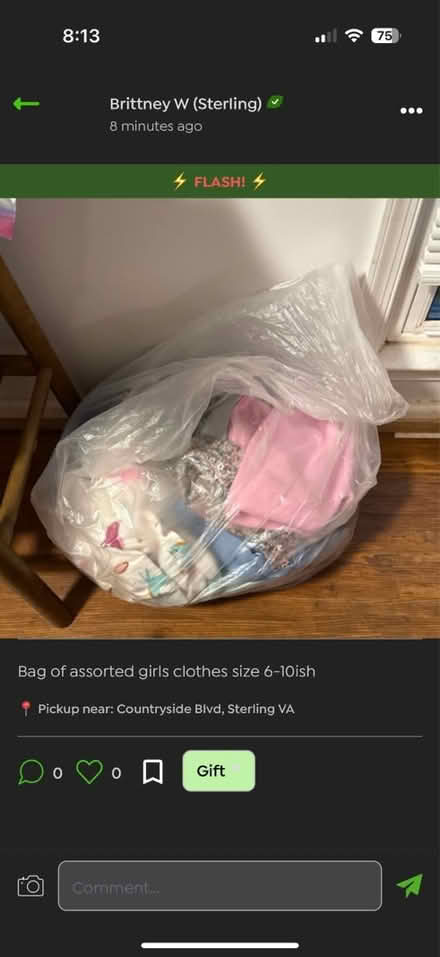 Photo of free Bag of girls clothes sz 6-10ish (Sterling Countryside) #1