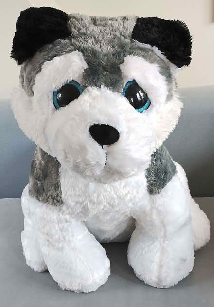 Photo of free Large soft toy (Ruskin Park SE5) #1