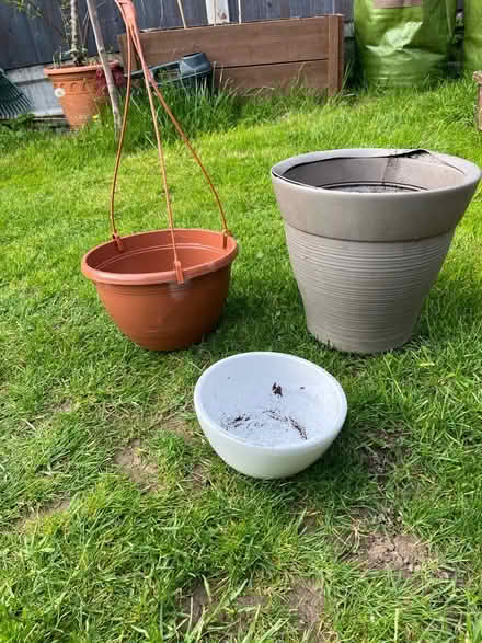 Photo of free Plant pots (Ware SG12) #1