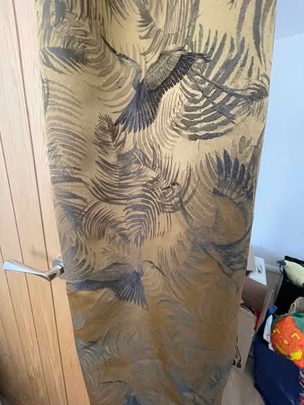 Photo of free Dunelm curtains (Potters bar) #2
