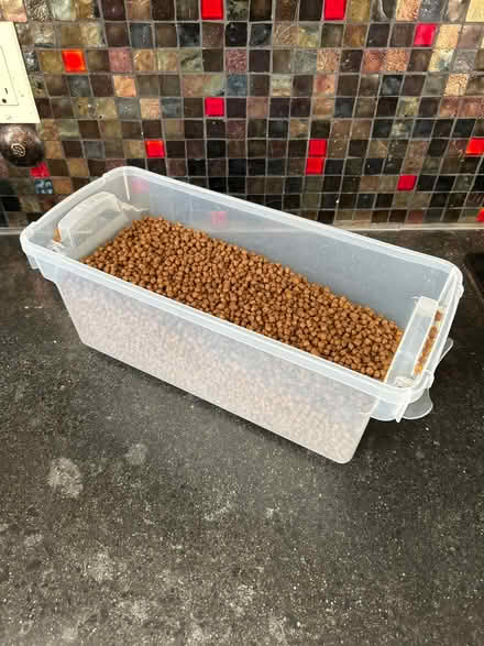 Photo of free Container of cat food (Greenwood) #1