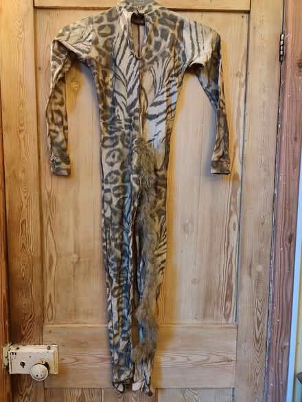 Photo of free Dressing up animal costume (Bedford) #2
