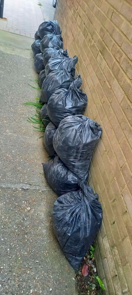 Photo of free Concrete blocks and mortar (Ashton Green BN8) #3