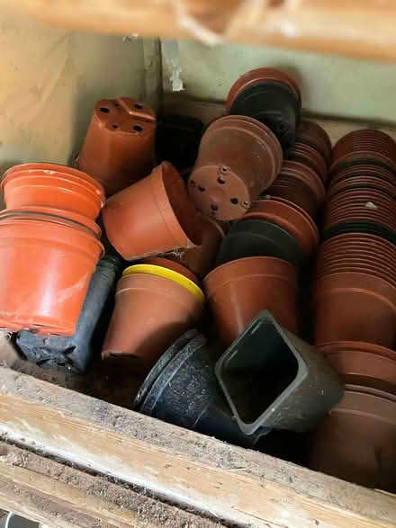 Photo of free plant pots of varying sizes (Pant SY10) #2