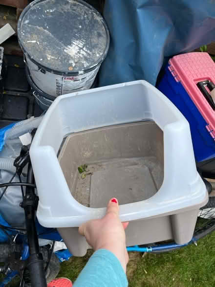 Photo of free Cat litter box (Bromley north BR1) #1