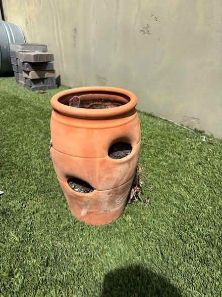 Photo of free Strawberry pot (Cambrian areA) #1