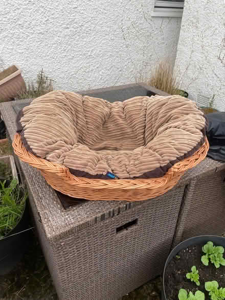 Photo of free Wicker basket & dog bed (Eastwood G46) #1