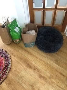 Photo of free Cat bed & carry container etc (Beaconsfield HP9) #2