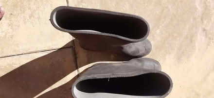 Photo of free Wellingtons (size 6) (Dunston S41) #3