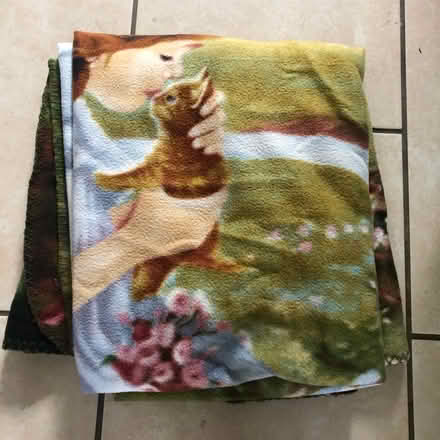 Photo of free Blanket (Westbury BA13) #1