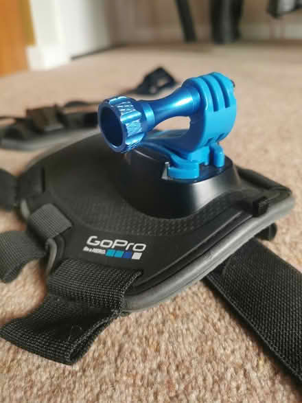 Photo of free Go pro dog harness (OX4 - Iffley / Cowley) #1