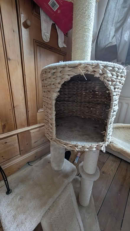 Photo of free Cat tree (Dartford) #4