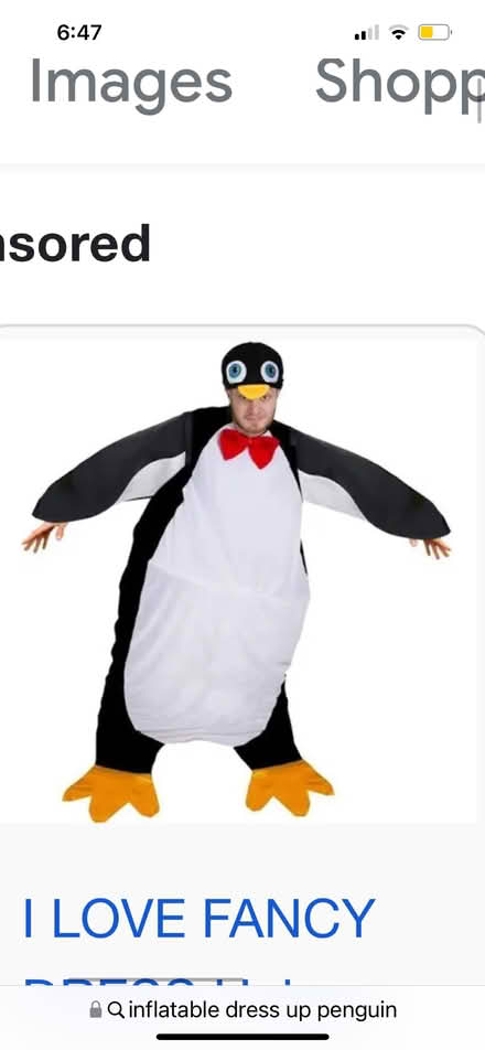 Photo of Inflatable dress up costume (Isleworth TW7) #2