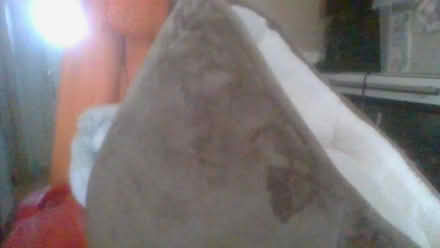 Photo of free cat Igloo and small dog bed (BA2) #4