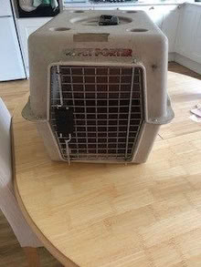 Photo of free Cat bed & carry container etc (Beaconsfield HP9) #1