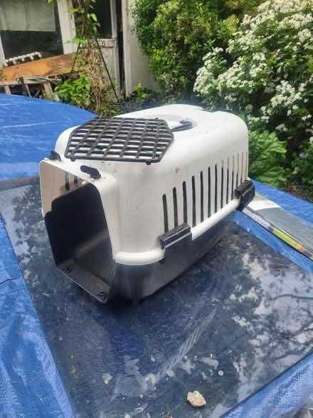 Photo of free Cat carrier (Upper Clapton E5) #1