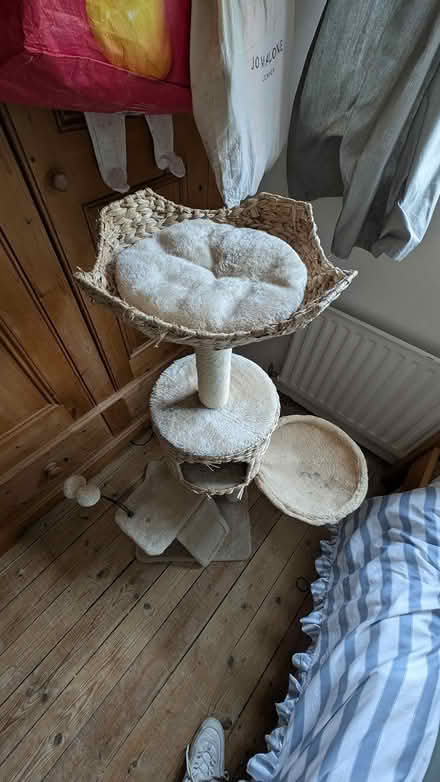 Photo of free Cat tree (Dartford) #2