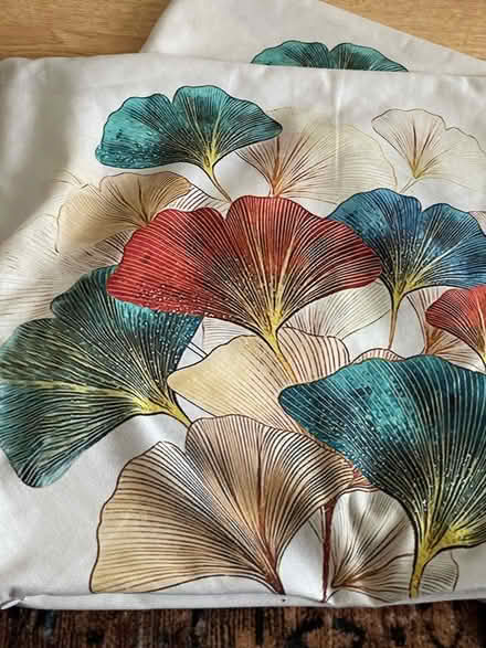 Photo of free 4 pieces of rectangular cushion covers (Furzton MK4) #2