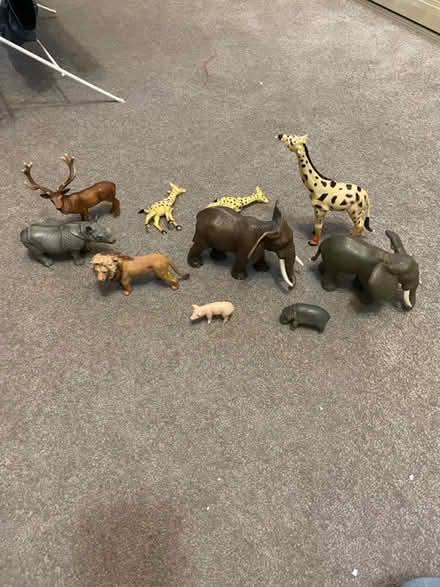 Photo of free plastic animals (Kenilworth) #1
