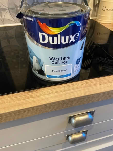 Photo of free Dulux paint (Cromford DE4) #1