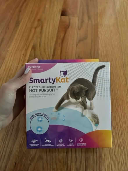 Photo of free Cat Things (Chelsea) #1