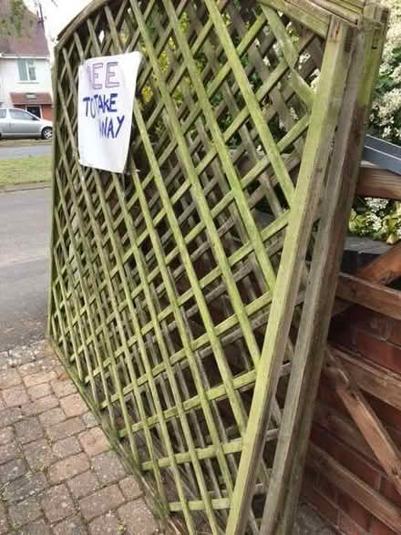Photo of free 3 Garden Trellis panels 1.8m x1.8m (Cubbington CV32) #1